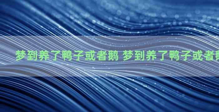 梦到养了鸭子或者鹅 梦到养了鸭子或者鹅什么意思